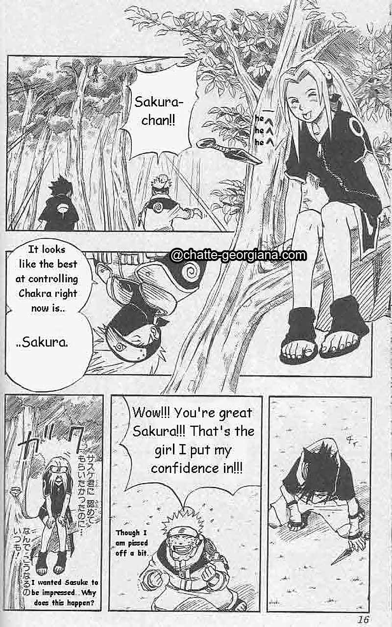 chatte-georgiana-sakura-haruno-the-character-the-meaning-the-hate-kakashi-team-7-chakra-lesson-2