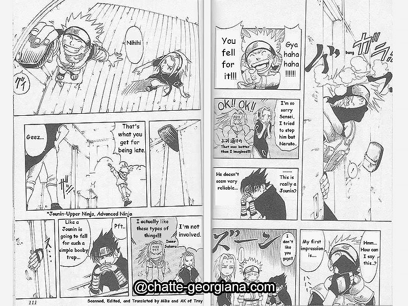 chatte-georgiana-sakura-haruno-the-character-the-meaning-the-hate-naruto-sakura-pranks
