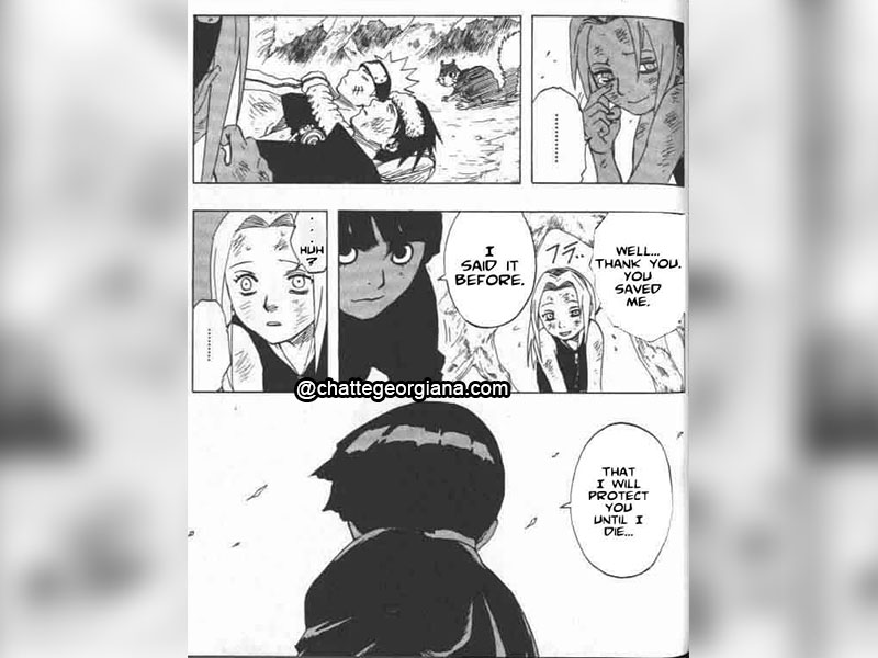 chatte-georgiana-sakura-haruno-the-character-the-meaning-the-hate-rock-lee-protects-sakura-team-7-forest-of-death
