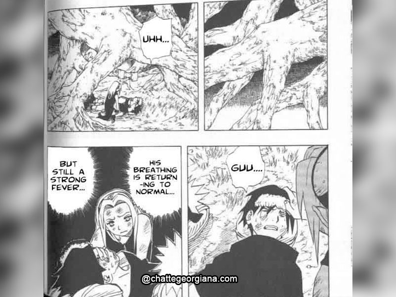 chatte-georgiana-sakura-haruno-the-character-the-meaning-the-hate-sakura-cares-for-naruto-sasuke-forest-of-death