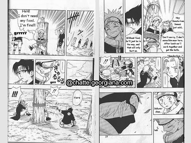 chatte-georgiana-sakura-haruno-the-character-the-meaning-the-hate-team-7-no-food-rule