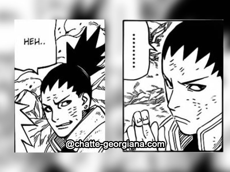 shikamaru-nara-chapter-630-narusaku-dynamic-vs-chapter635-sasusaku-dynamic