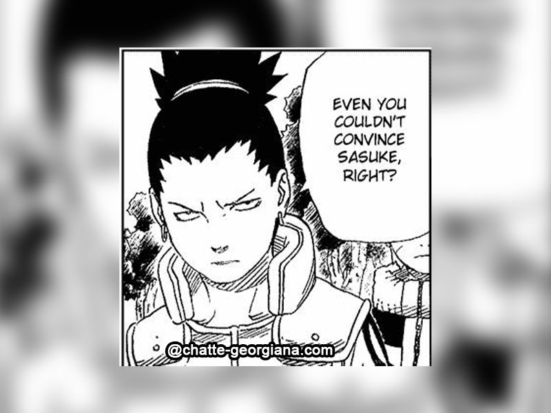 shikamaru-asks-sakura-even-you-couldn't-stop-sasuke