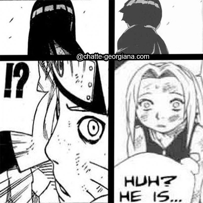 the-last-theory-leehina-narusaku