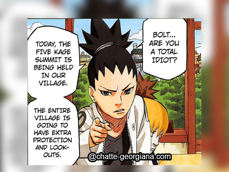 the-last-theory-naruto-chapter-700-shikadai