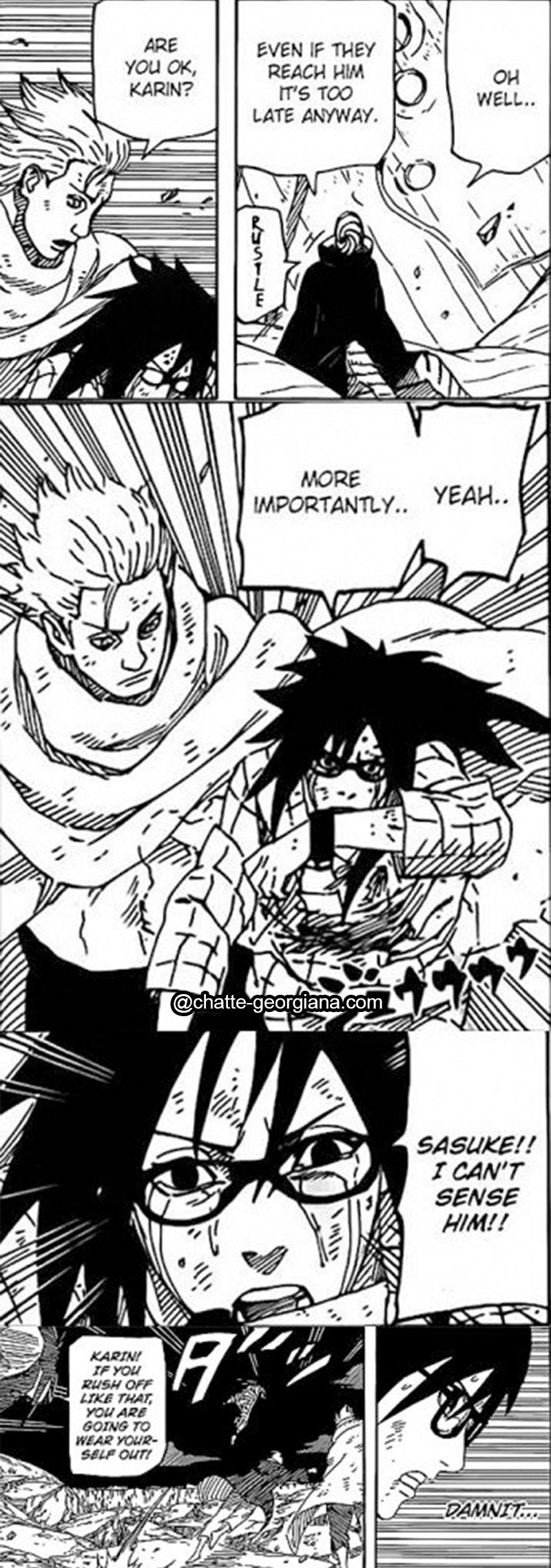 the-last-theory-sasukarin-karin-going-for-sasuke-4