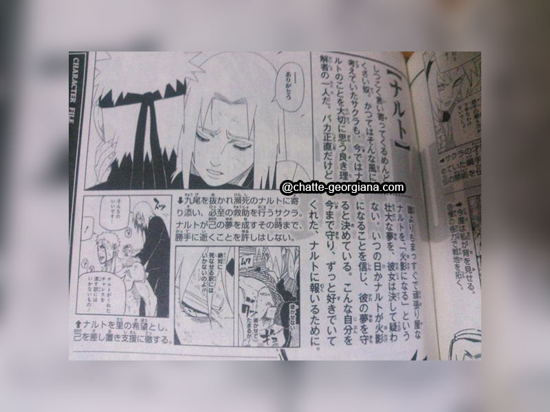 sakura-narusaku-databook-4-brief-translation-1