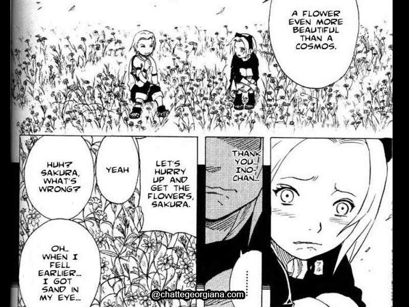 haruno-sakura-character-meaning-hate-part-12-ino-sakura-flower-symbolism3
