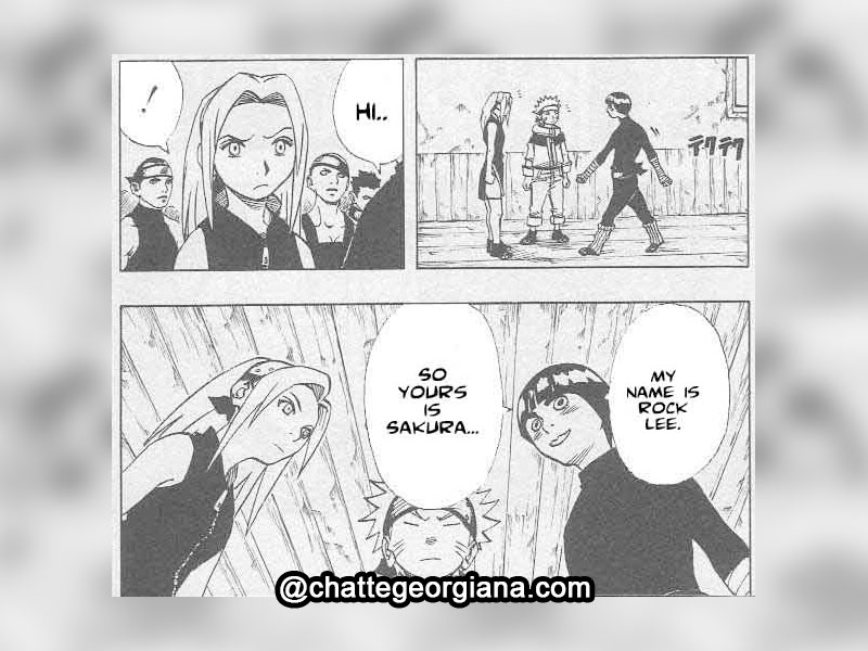 chatte-georgiana-sakura-haruno-the-character-the-meaning-the-hate-sakura-meets-rock-lee