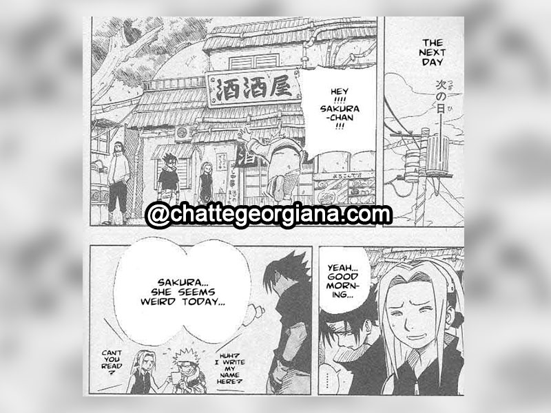 chatte-georgiana-sakura-haruno-the-character-the-meaning-the-hate-sasuke-notices-sakura-state