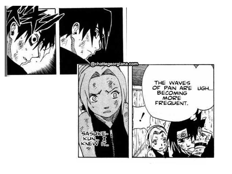 chatte_narusaku-symbolism_3_flowers_in_light_darkness_sakura_worries_about_sasuke_chuunin_exam_preliminaries_naruto_3