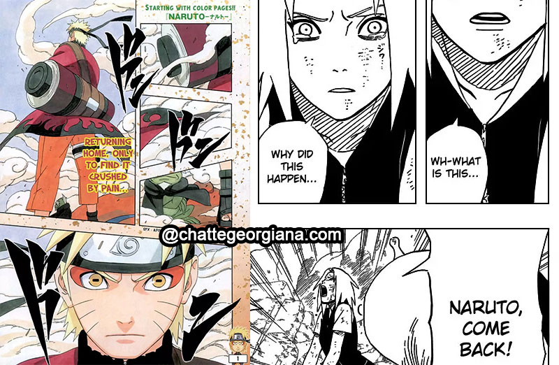 narusaku-symbolism-3-2-2-flowers-light-darkness-narusaku-sakura-calls-naruto-pein-arc