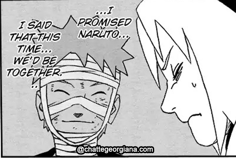 narusaku-symbolism-3-2-2-flowers-light-darkness-sakura-promise-naruto-sasori-fight