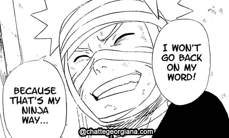 narusaku-symbolism-flowers-light-darkness-naruto-sakura-haruno-emotional-well-being-chapter-236-3