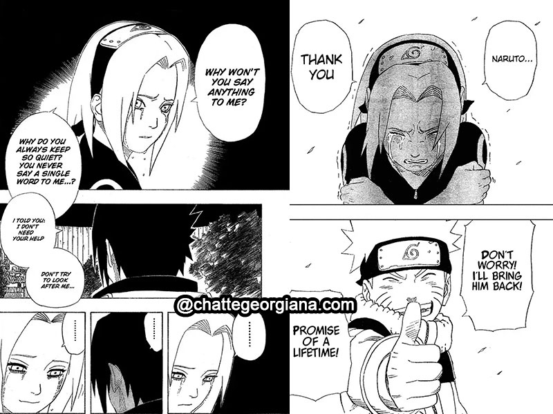 narusaku-symbolism-flowers-light-darkness-naruto-vs-sasuke-sakura-treatment