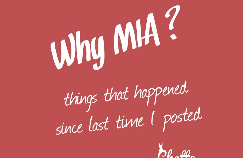 why-mia-blog