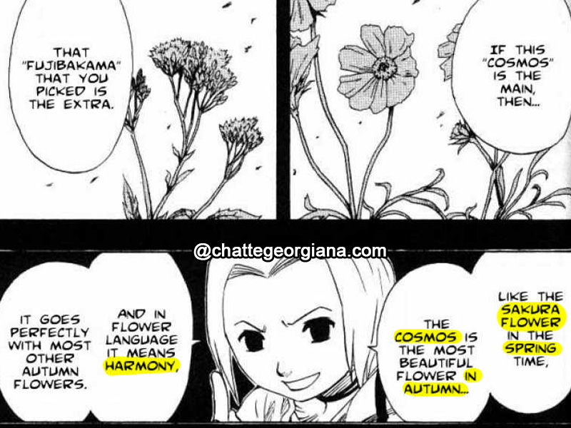 narusaku-symbolism-flower-language-harmony-spring-autumn-ino-yamanaka