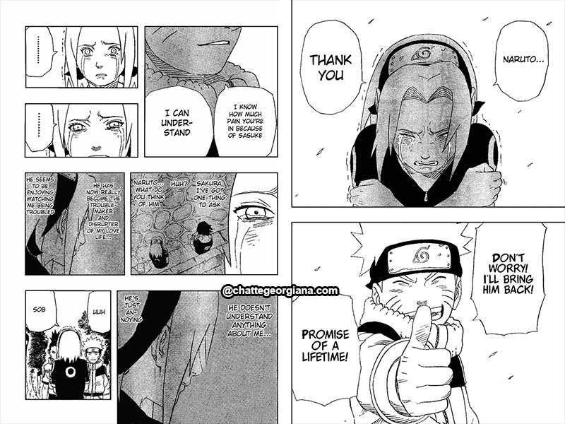 chatte_narusaku-symbolism_3_flowers_in_light_darkness-narusaku