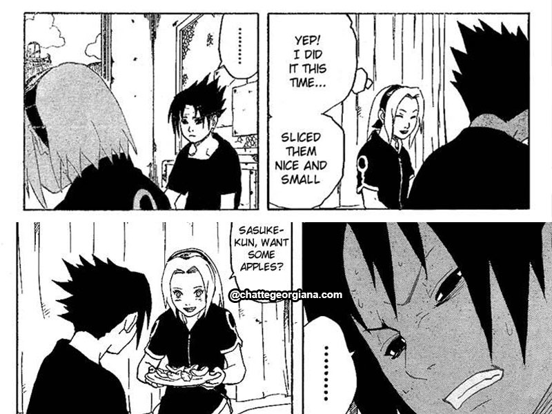 chatte_narusaku-symbolism_3_flowers_in_light_darkness-sasusaku