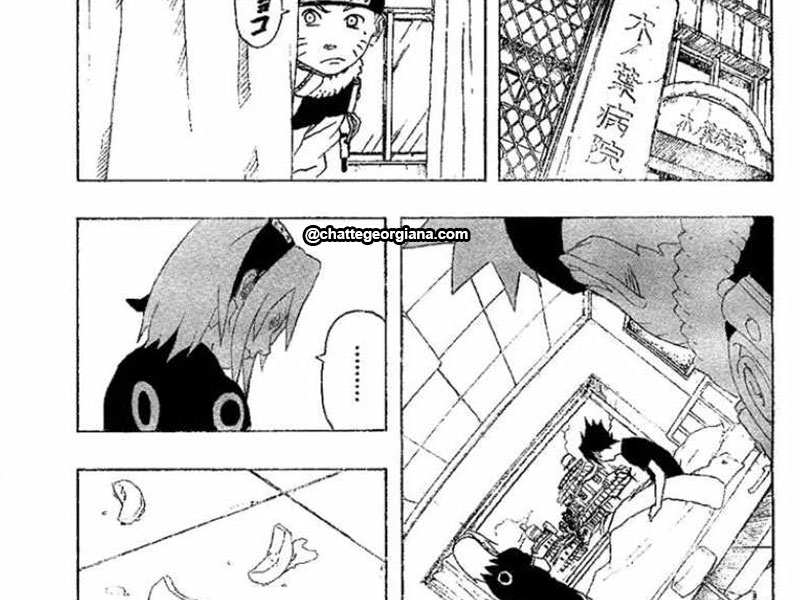 chatte_narusaku-symbolism_3_flowers_in_light_darkness-sasusaku3