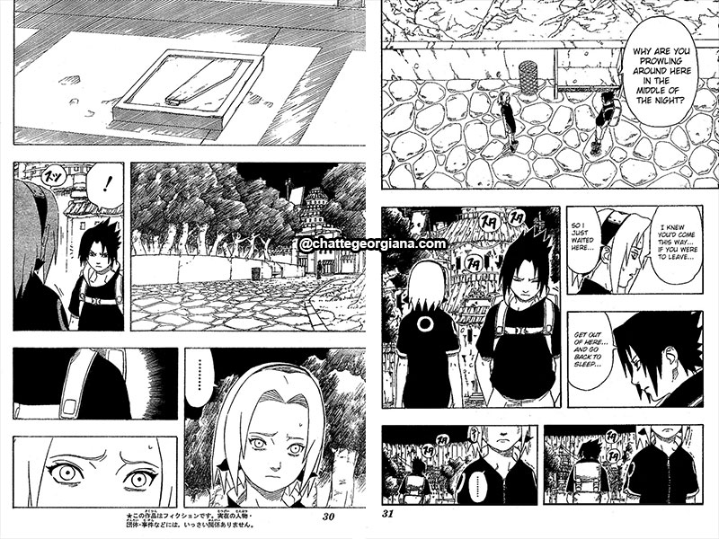 chatte_narusaku-symbolism_3_flowers_in_light_darkness-sasusaku4