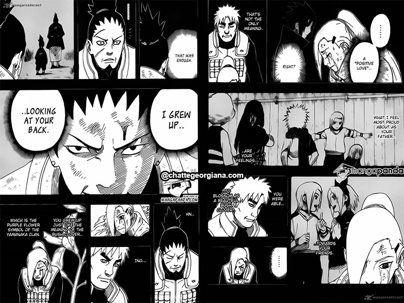 chatte_narusaku-symbolism_3_flowers_in_light_darkness_ino_sasuke_no_positive_love