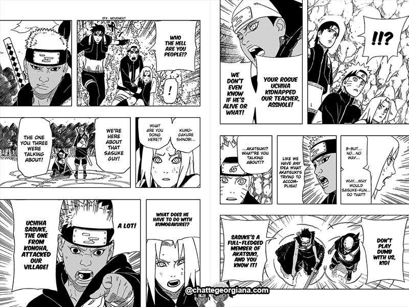 chatte_narusaku-symbolism_3_flowers_in_light_darkness_kumogakure_ninja_target_sasuke