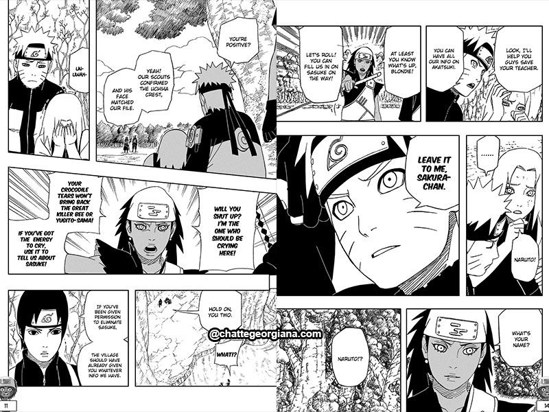 chatte_narusaku-symbolism_3_flowers_in_light_darkness_kumogakure_ninja_target_sasuke3