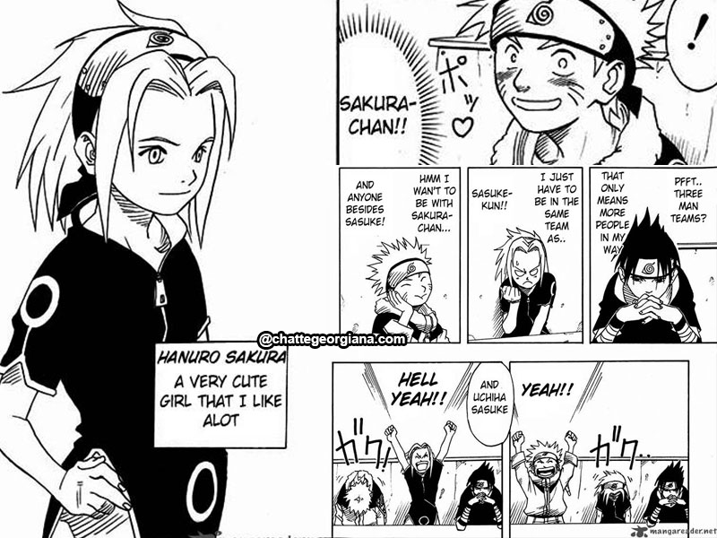 chatte_narusaku-symbolism_3_flowers_in_light_darkness_naruto_introducing_sakura