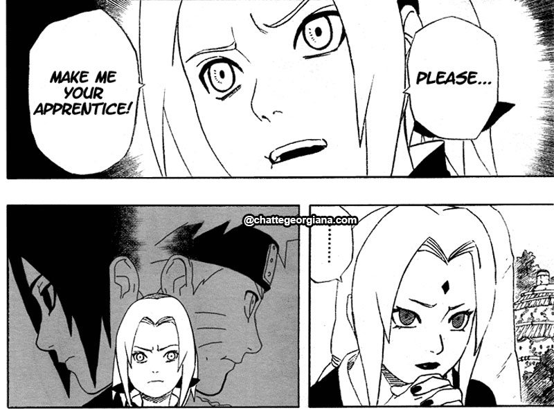 chatte_narusaku-symbolism_3_flowers_in_light_darkness_sakura_between_light_naruto_dark_sasuke