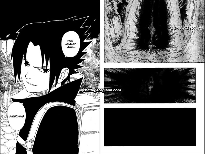 chatte_narusaku-symbolism_3_flowers_in_light_darkness_sasuke_darkness2