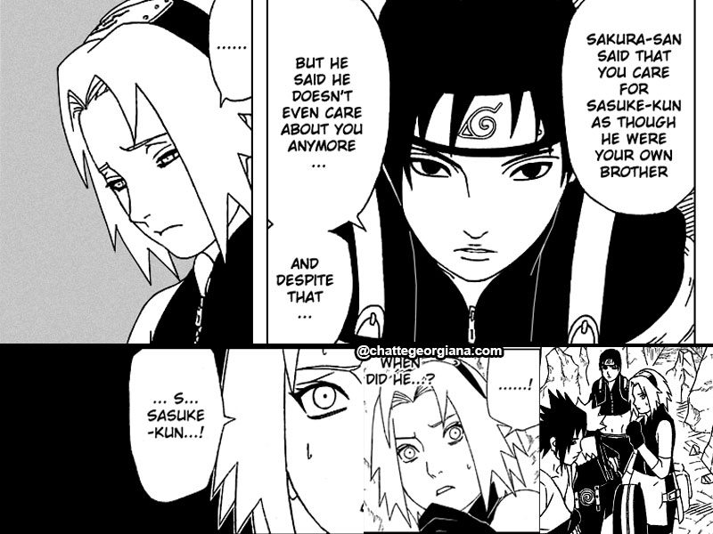 chatte_narusaku-symbolism_3_flowers_in_light_darkness_sasuke_reunion