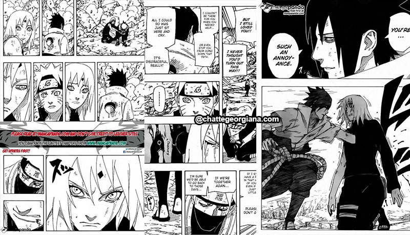 chatte_narusaku-symbolism_3_flowers_in_light_sakura_reaction_to_sasuke_declaration_of_revolution2